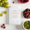 acai plus herbanicum antioxidanty granatove jablko mikrobiom