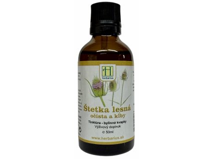 Stetka lesna