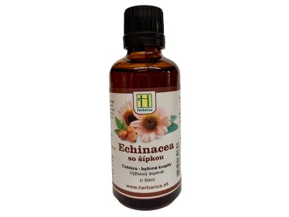 echinacea-so-šípkou