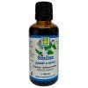 smilax-liecivy