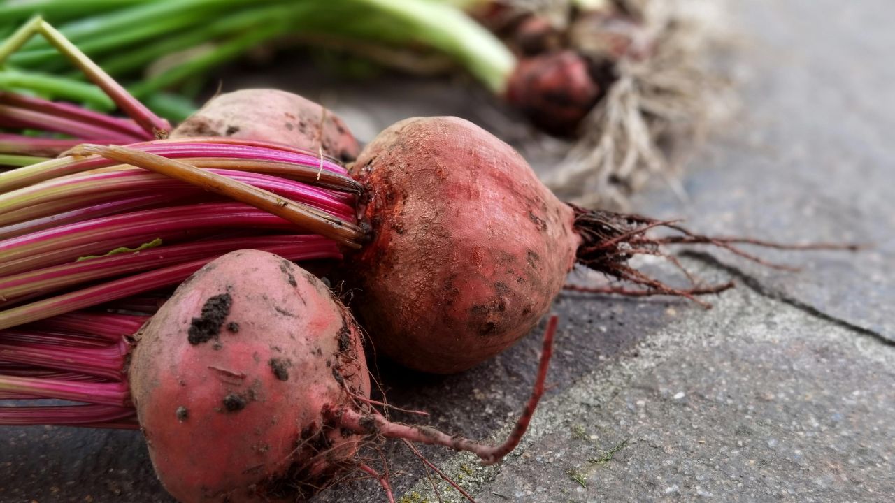 Superpotravina jménem červená řepa: proč byste ji měli jíst každý den (3 recepty)
