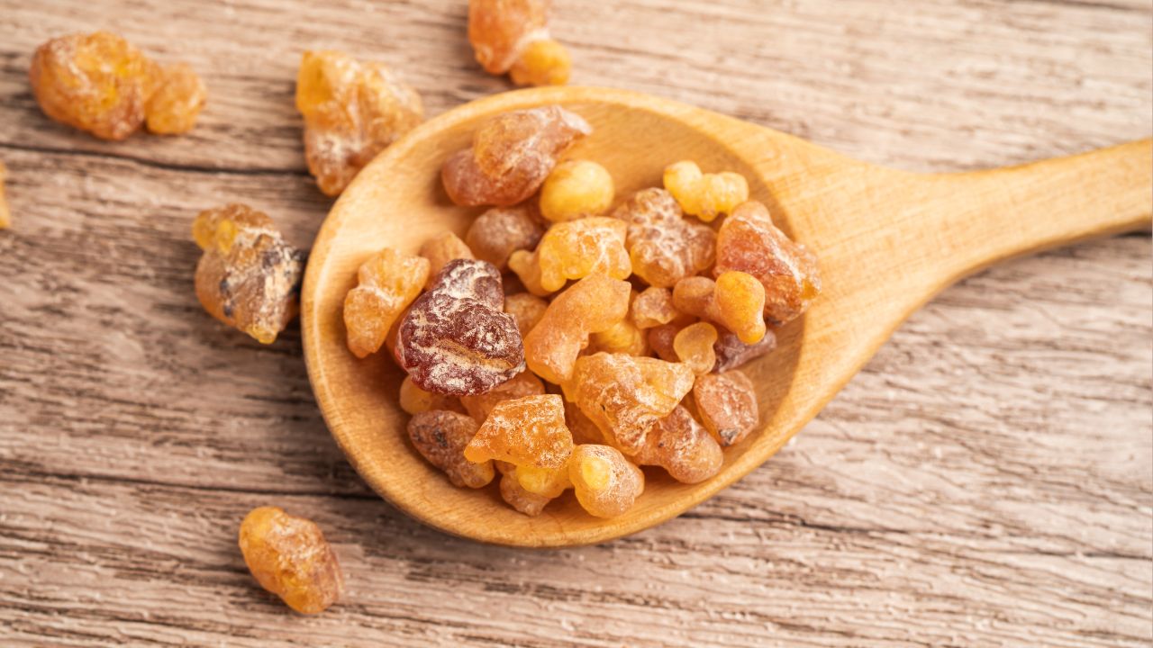 Masticha: zapomenutý přírodní poklad pro zdravé trávení a imunitu