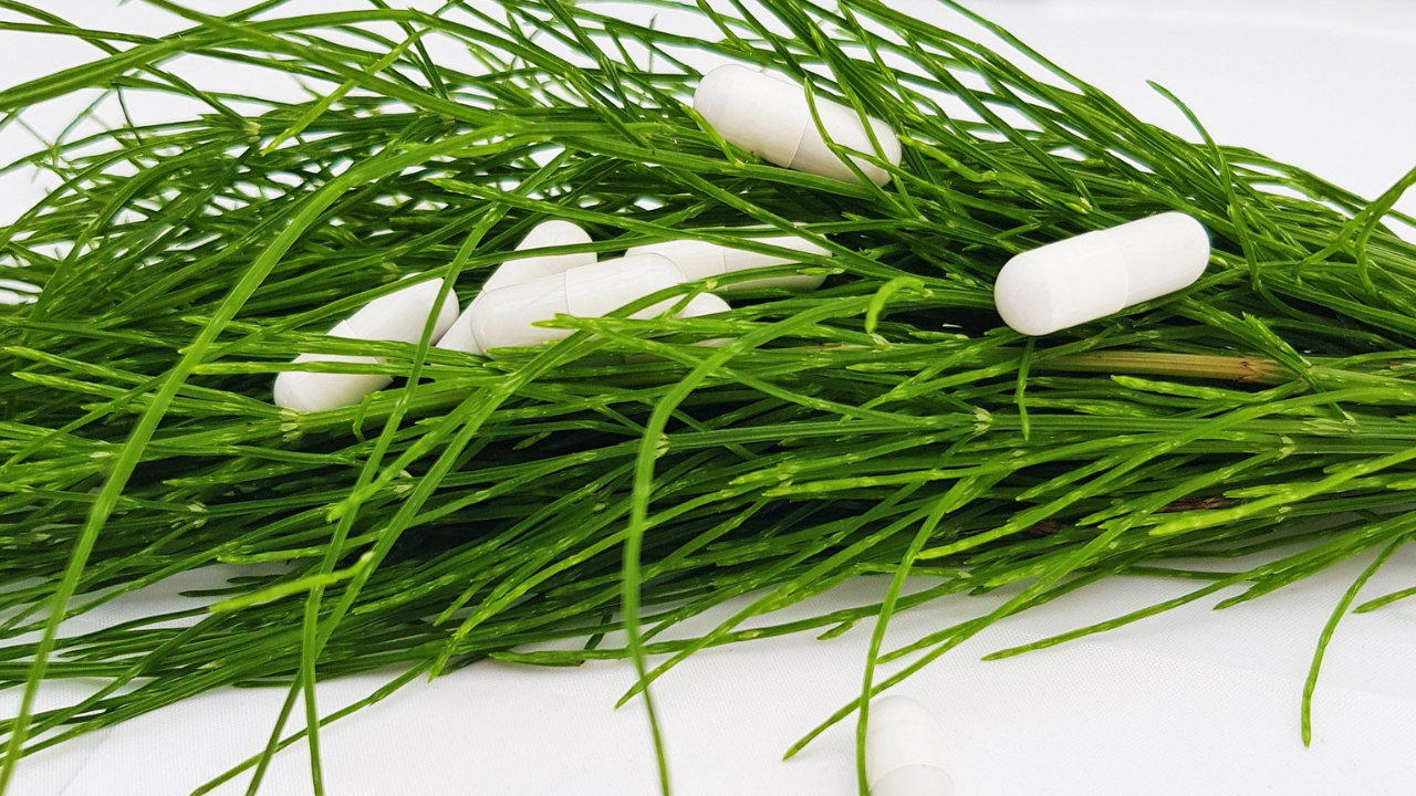 Přeslička účinky: Může pomoci při odvodnění, ale má i svou odvrácenou stránku