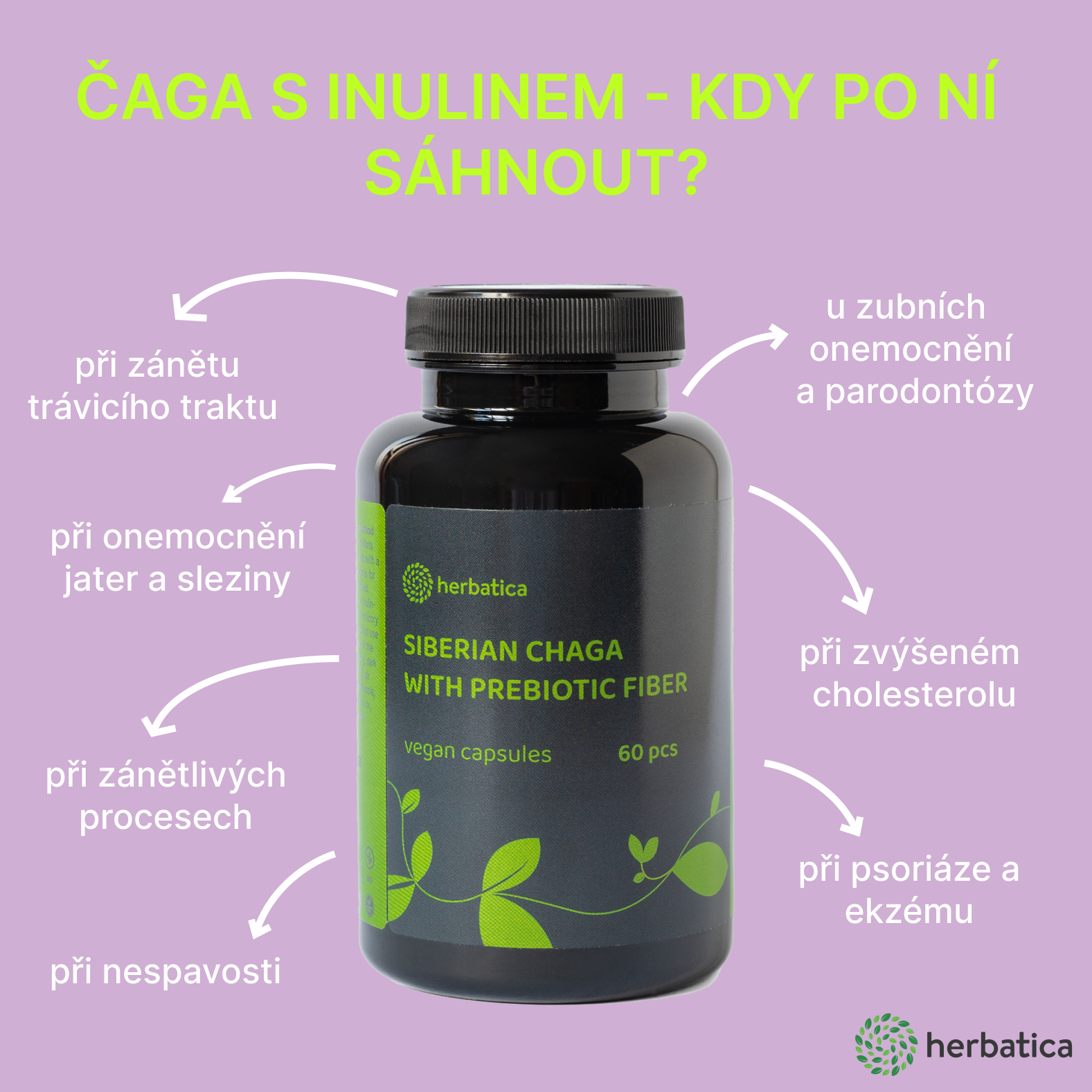 Sibiřská čaga s inulinem Herbatica - infografika