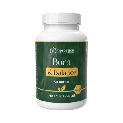 Fat Burner - 70 kapslí - Herbatica