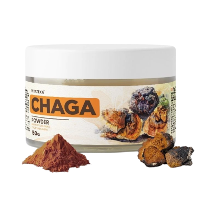 Čaga prášek – 50 g – Vitateka