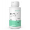 Boswellia Serrata - 90 kapslí- Epigemic®