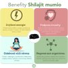 mumio shilajit infografika benefity pro zdravi