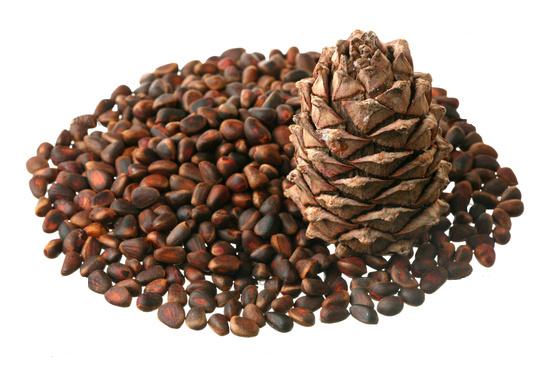 Immunrendszer aszisztens - cédrusolaj. Tud róla mindent? 6 fontos tipp.