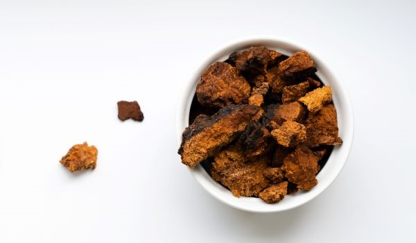 CHAGA - tudományos szakértői összefoglaló a chaga gombáról szóló farmakognóziai kiadványból