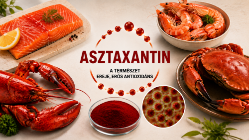 Asztaxantin: Az antioxidánsok királya, amelyről talán még nem hallott