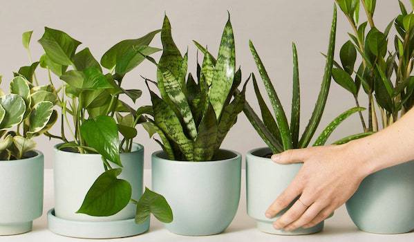 Kényeztesse magát pihenéssel a virágültetés mellett