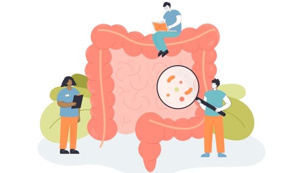 SIBO-ban szenved? Fedezze fel a titkos fegyvert egy kis kapszulában és javítsa az emésztést velünk