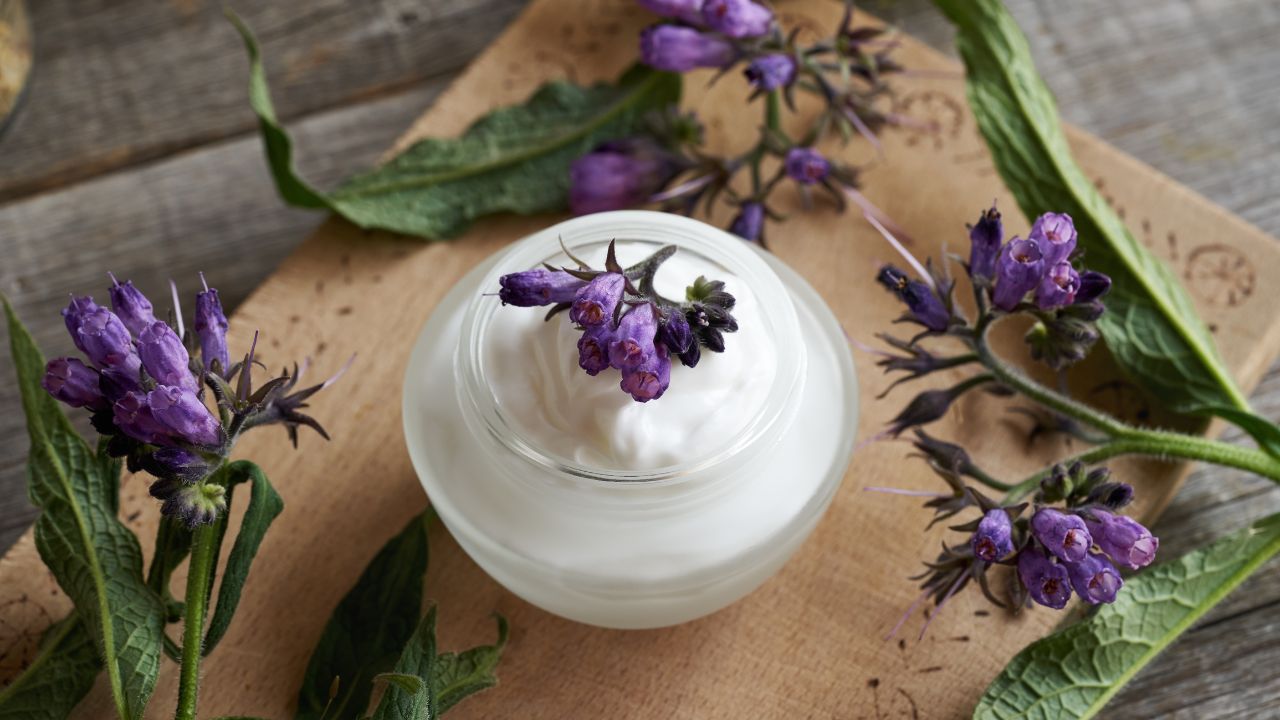 Nadálytő: Gyógynövény, amely nemcsak a testet, hanem a régi fájdalmakat is gyógyítja