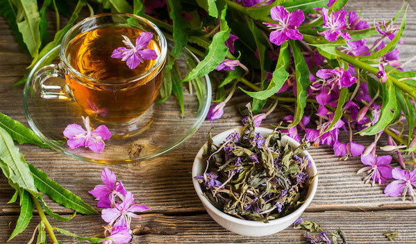 Ivan tea - őseink életelixírje