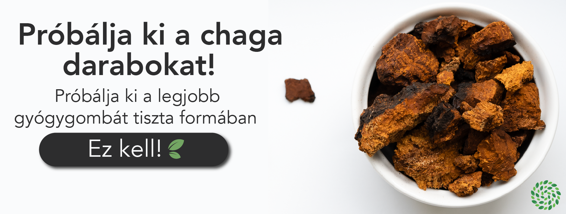 chaga darabok