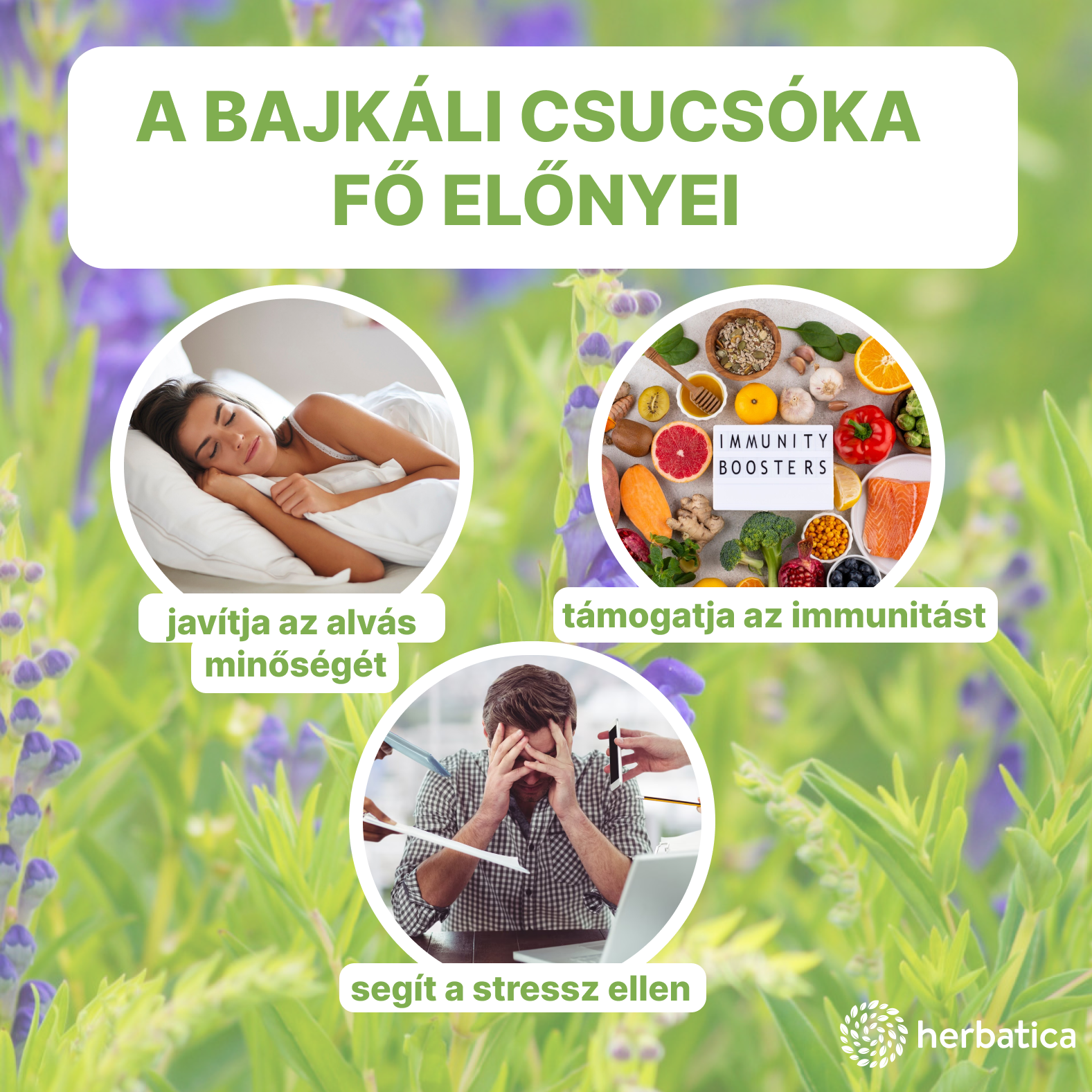csucsoka fő előnyök