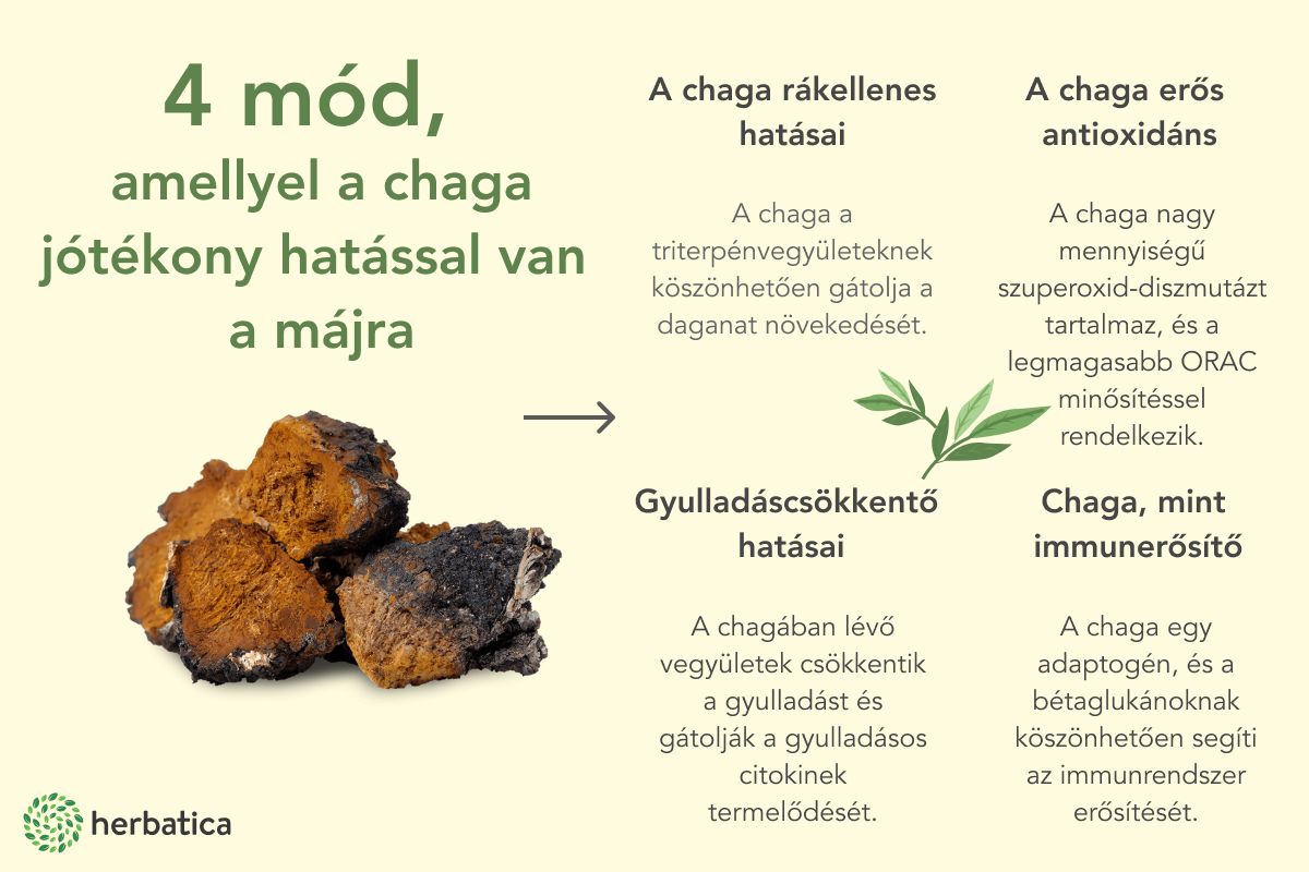 Chaga szibériai szárított darabok (4-5 cm) - 200g - Herbatica