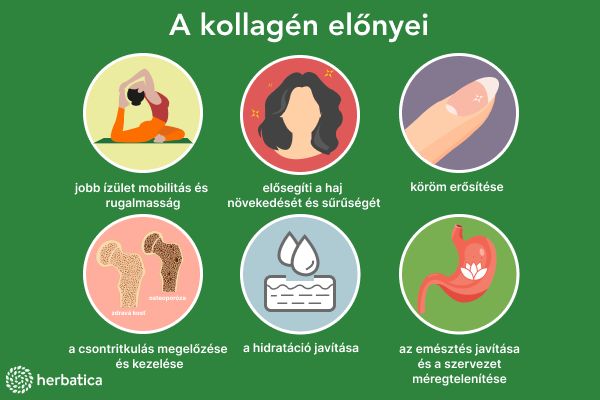 Bioaktív kollagén peptidekkel és vitaminokkal a szépségért, körmökért, hajért és bőrért - 300g - Herbatica Íz: Eper