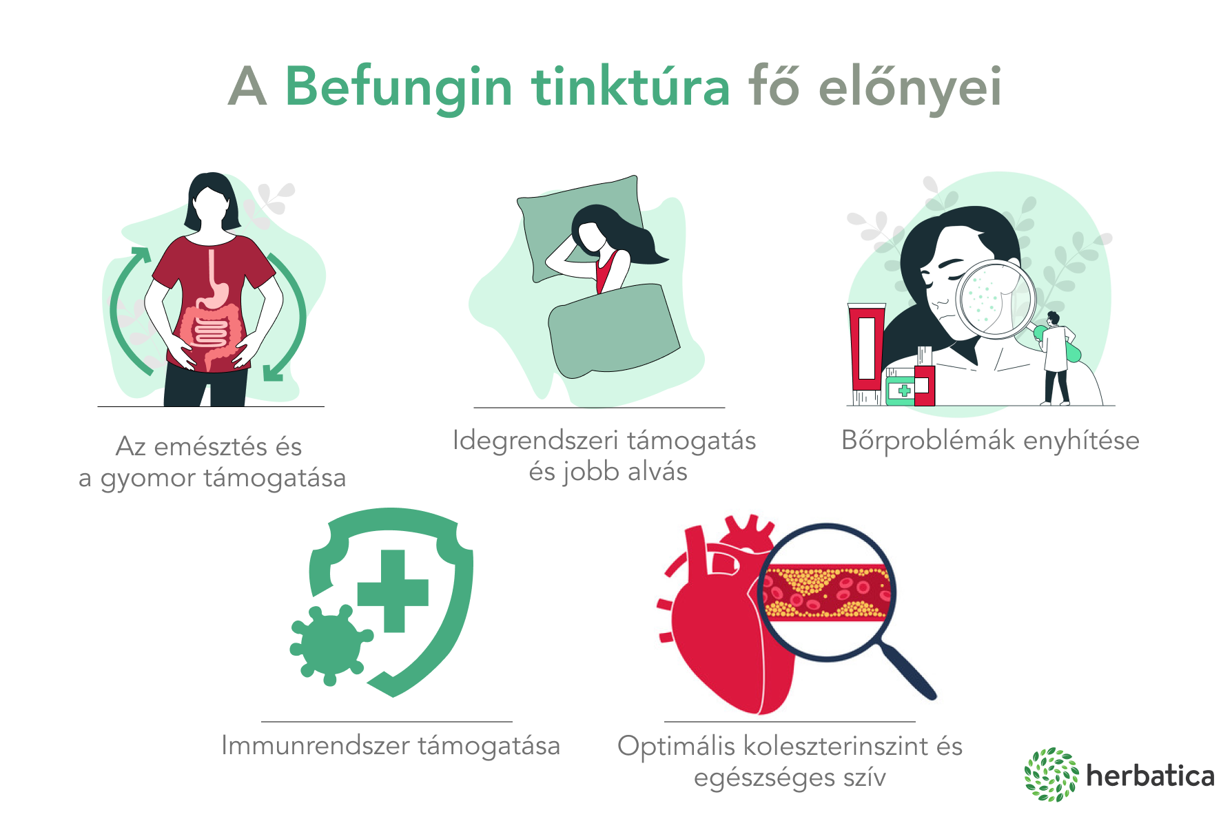 Befungin - tinktúra szibériai Chaga kivonattal - 100 ml - Herbatica