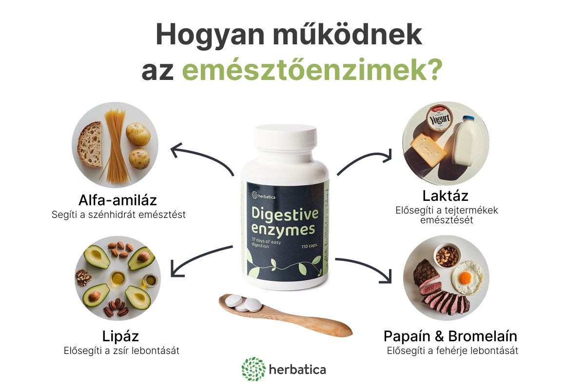 Emésztőenzimek - 37 nap könnyű emésztés - 110 kapszula - Herbatica