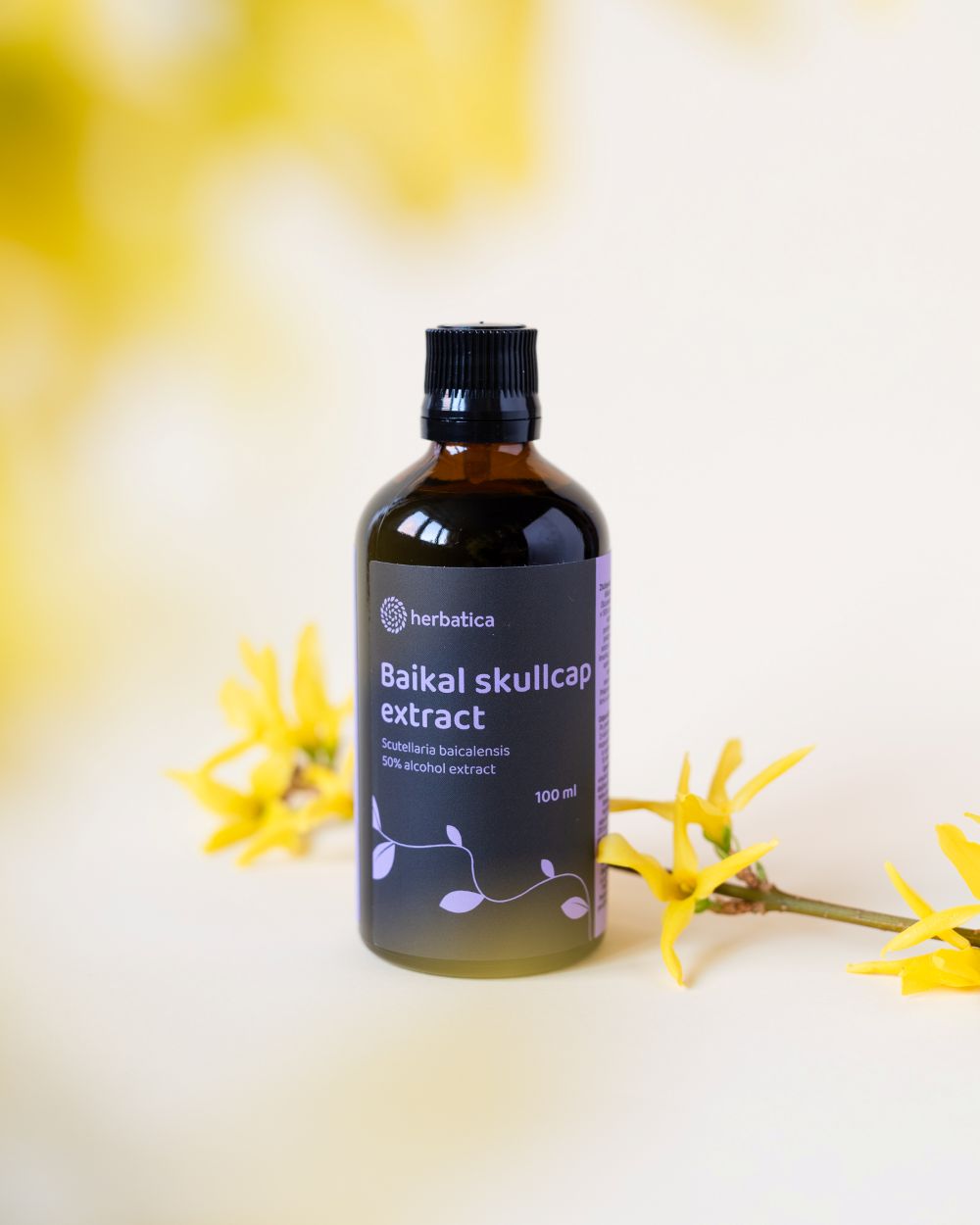 Bajkáli csucsóka tinktúra - 100ml - Herbatica