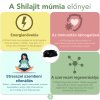 mumio shilajit infografika egészségügyi előnyök