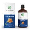 Cordyceps - alkoholmentes tinktúra 100 ml - Green idea