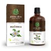 Mučenka tinktúra - cseppek 100 ml - Green idea