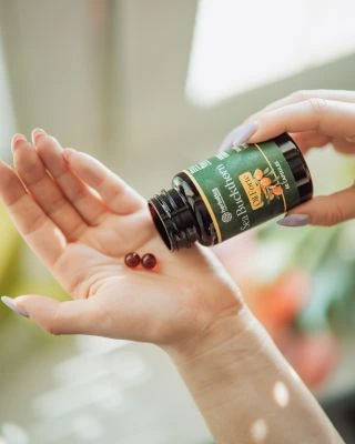 🧡 Homoktövis – kis bogyó, nagy erő az egészségért A homoktövis a világ egyik legtáplálóbb növénye. Számos vitamint,...