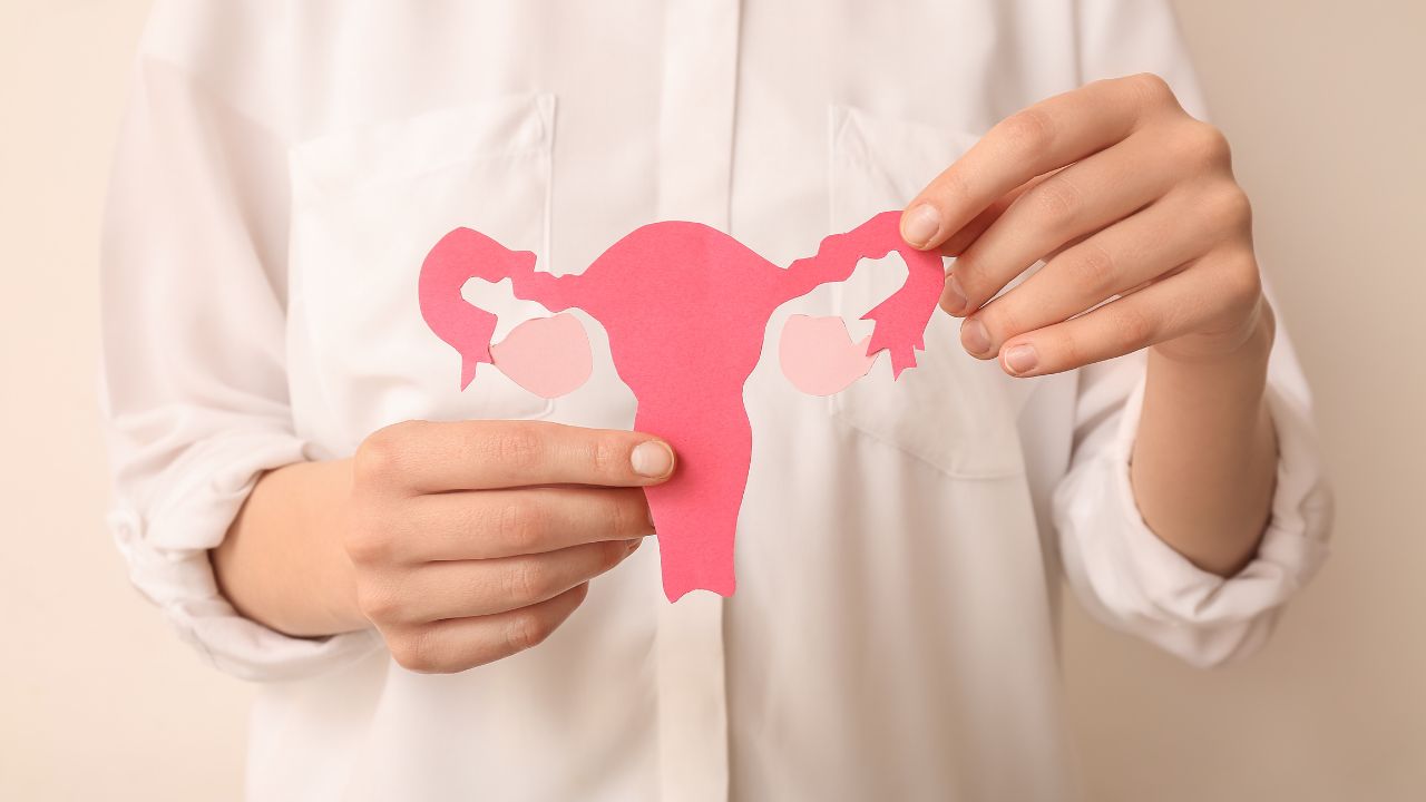 Estrogenul și rolul său în sănătate