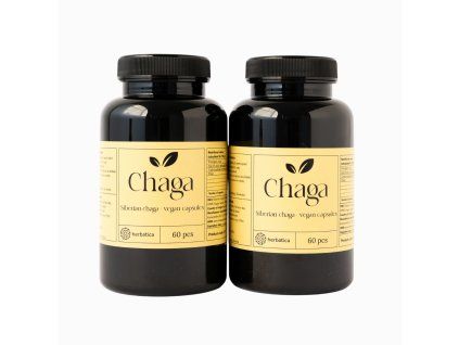 Chaga siberiană - 60 capsule vegane (300 mg/capsulă) - Herbatica