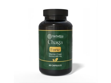 Chaga Siberian FORTE