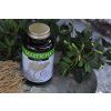 Masticha Active capsule pentru digestie - 100 tablete