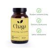 Chaga siberiană - 60 capsule vegane (300 mg/capsulă) - Herbatica