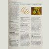 Set avantajos: 2 x Ashwagandha pulbere din rădăcină, extract 7% - 100 g - Herbatica