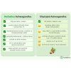 Set avantajos: 2 x Ashwagandha pulbere din rădăcină, extract 7% - 100 g - Herbatica
