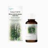 Befungin forte - extract de chaga - 90 ml - ViolaHerb