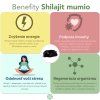 Shilajit - mumio purificat premium (500mg) - supliment alimentar - 80 capsule - Herbatica