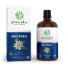 Passiflora – tinctură fără alcool 100 ml – Green idea