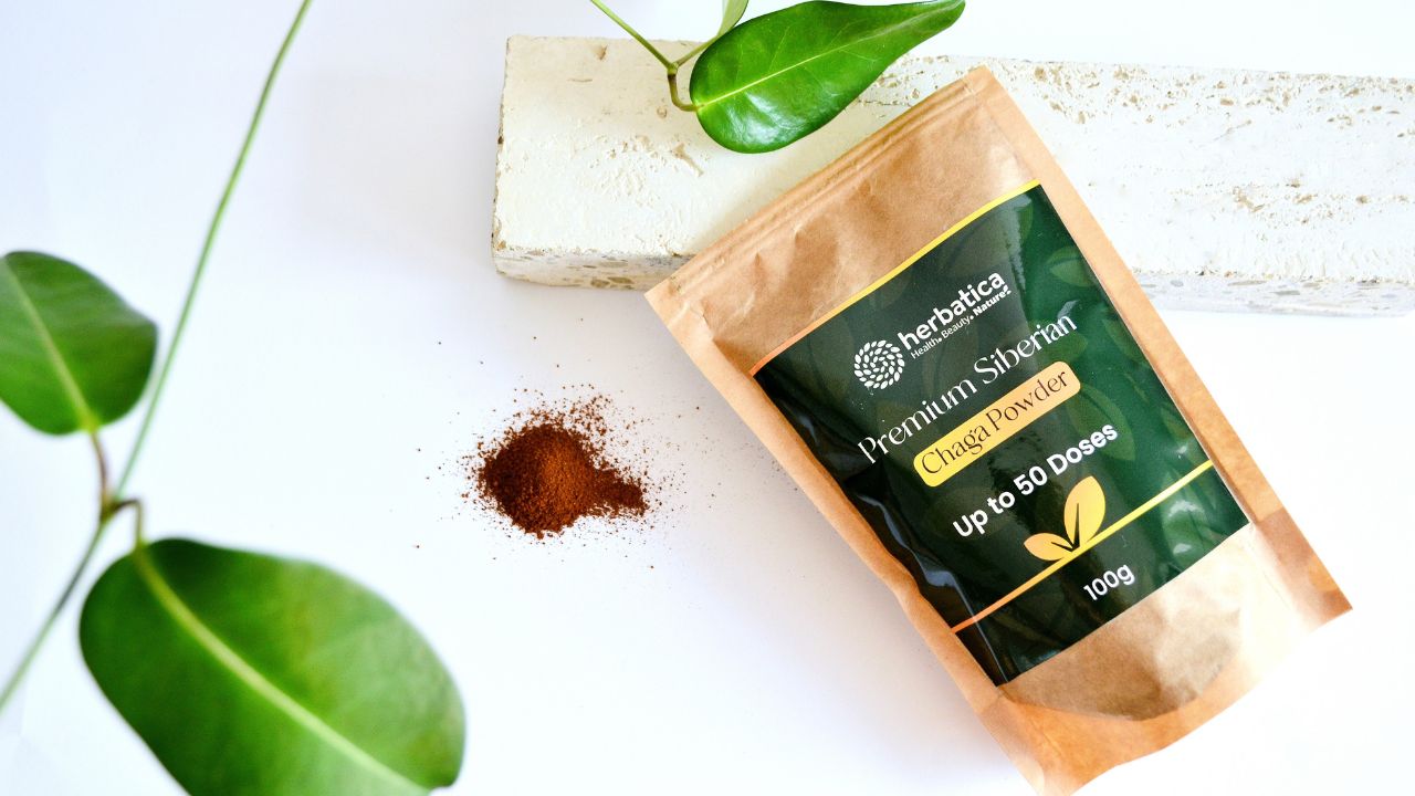 Čaga sibírska: liečivé účinky zázračnej huby