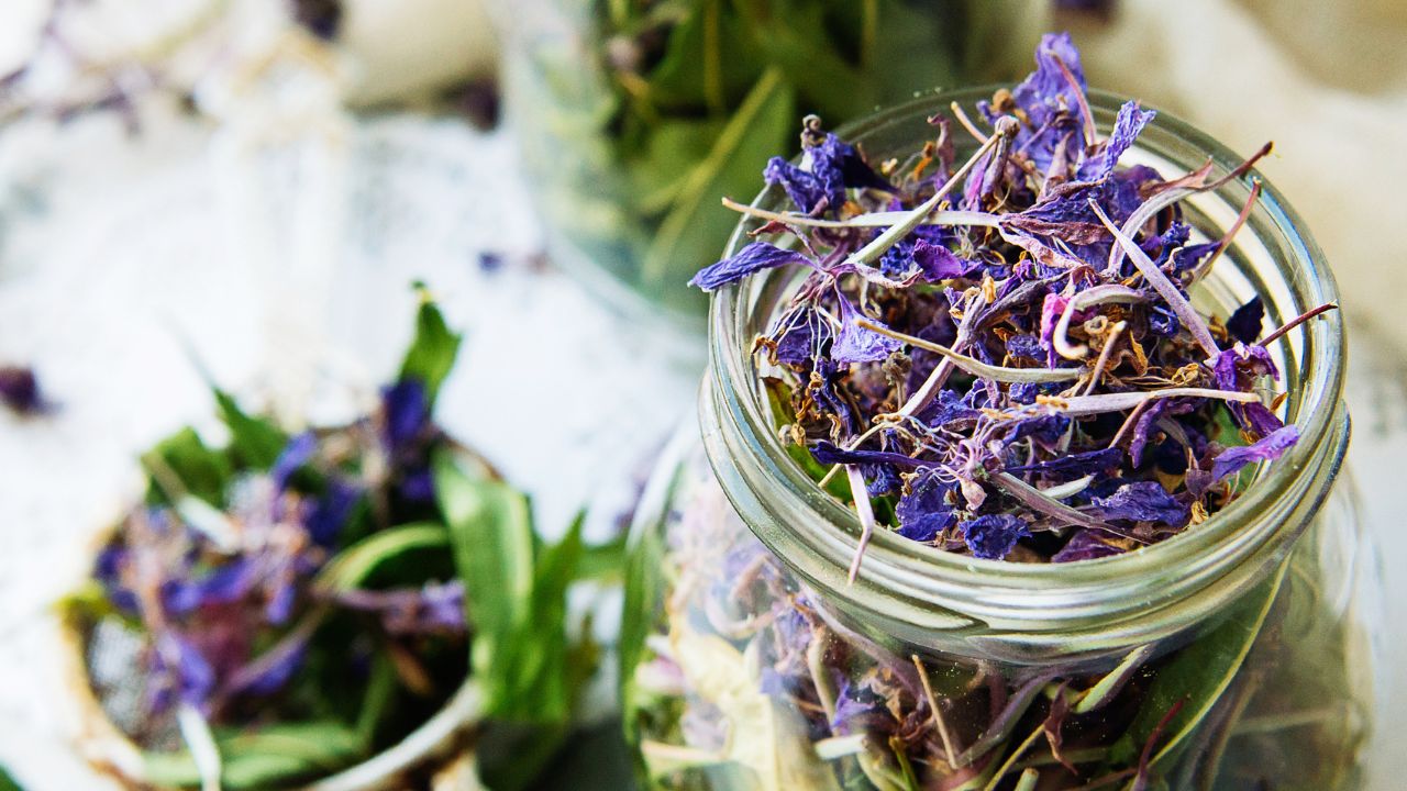 Ivan čaj: nápoj severu, ktorý vás upokojí, očistí a posilní