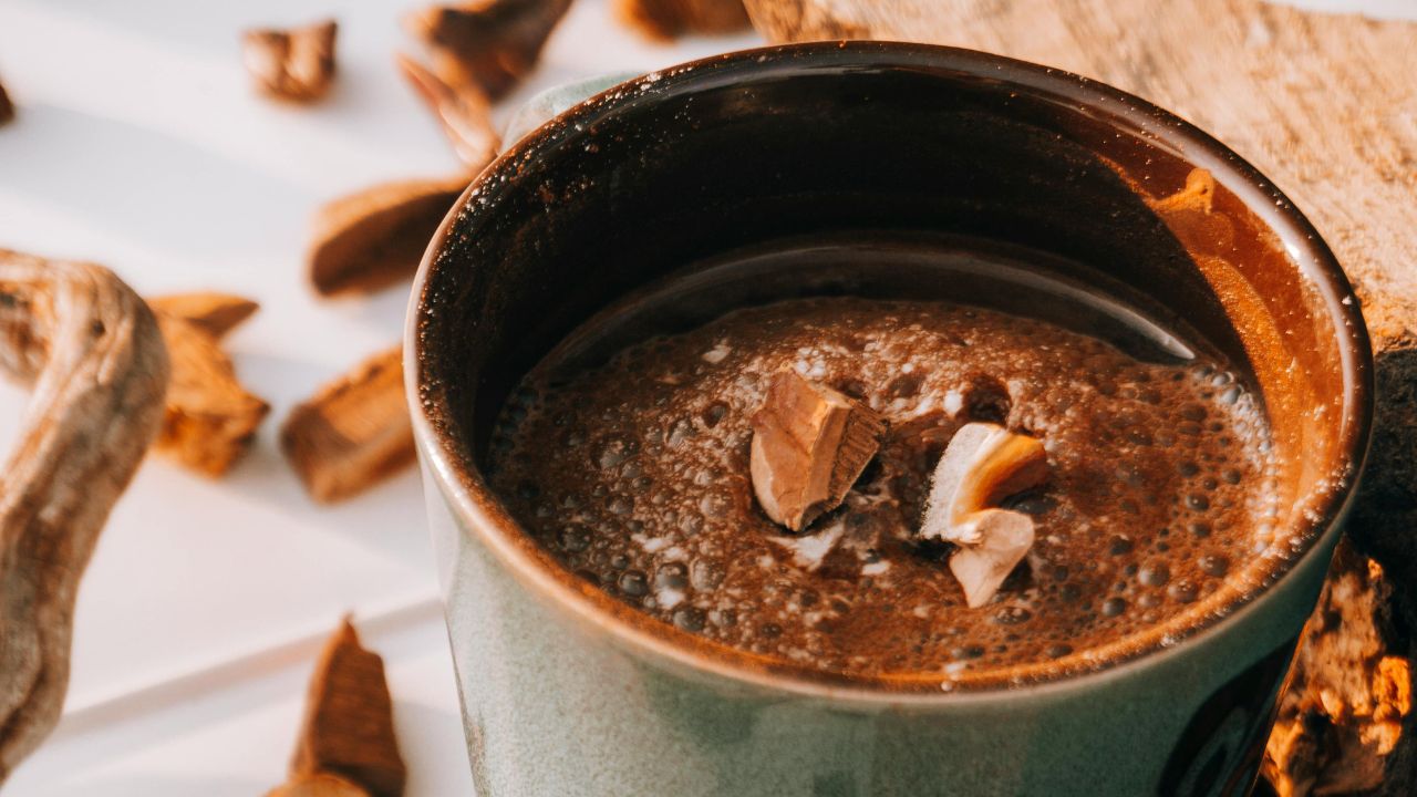 Reishi: tajomná huba z ázijských lesov a jej sila