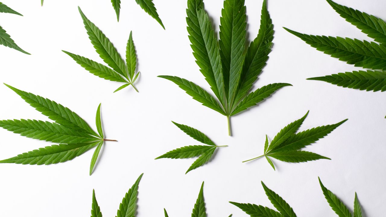 Rozdiel medzi THC a CBD