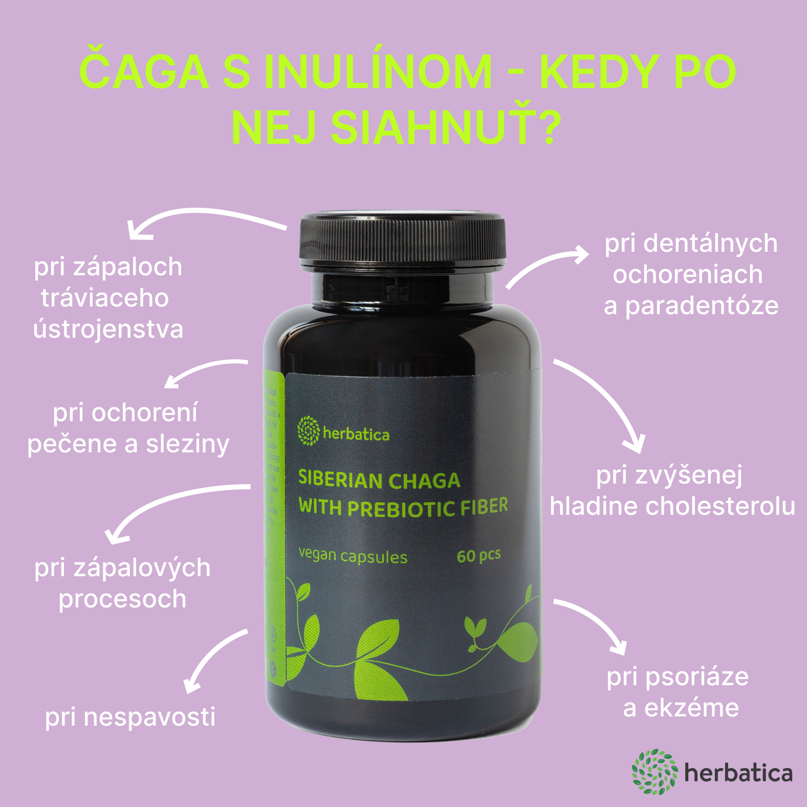 čaga sibírska s inulínom Herbatica - infografika