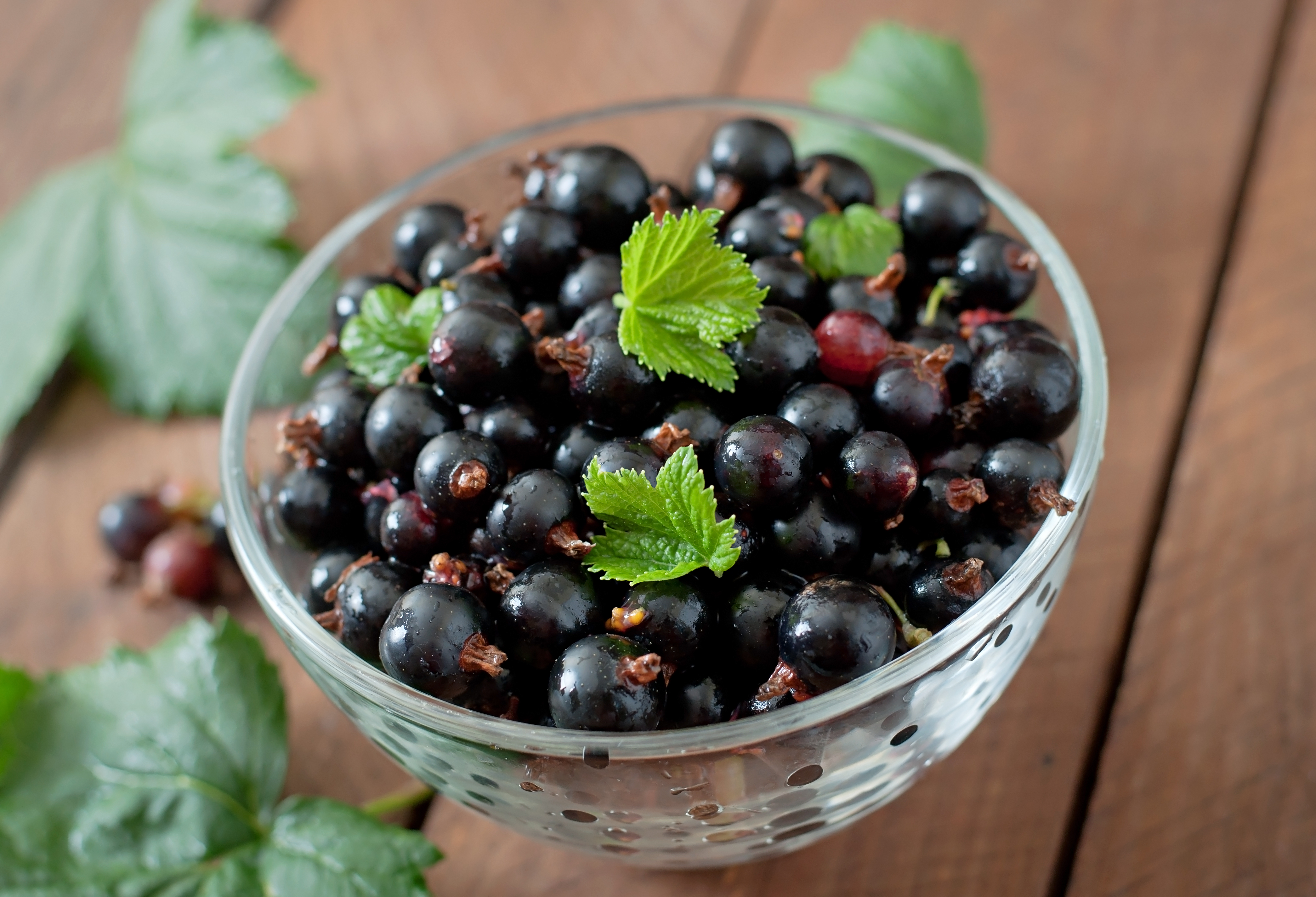 fructe de aronia într-un bol