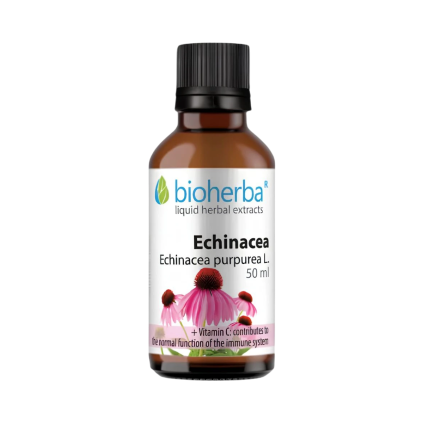 Echinacea kvapky – tinktúra – 50 ml – Bioherba