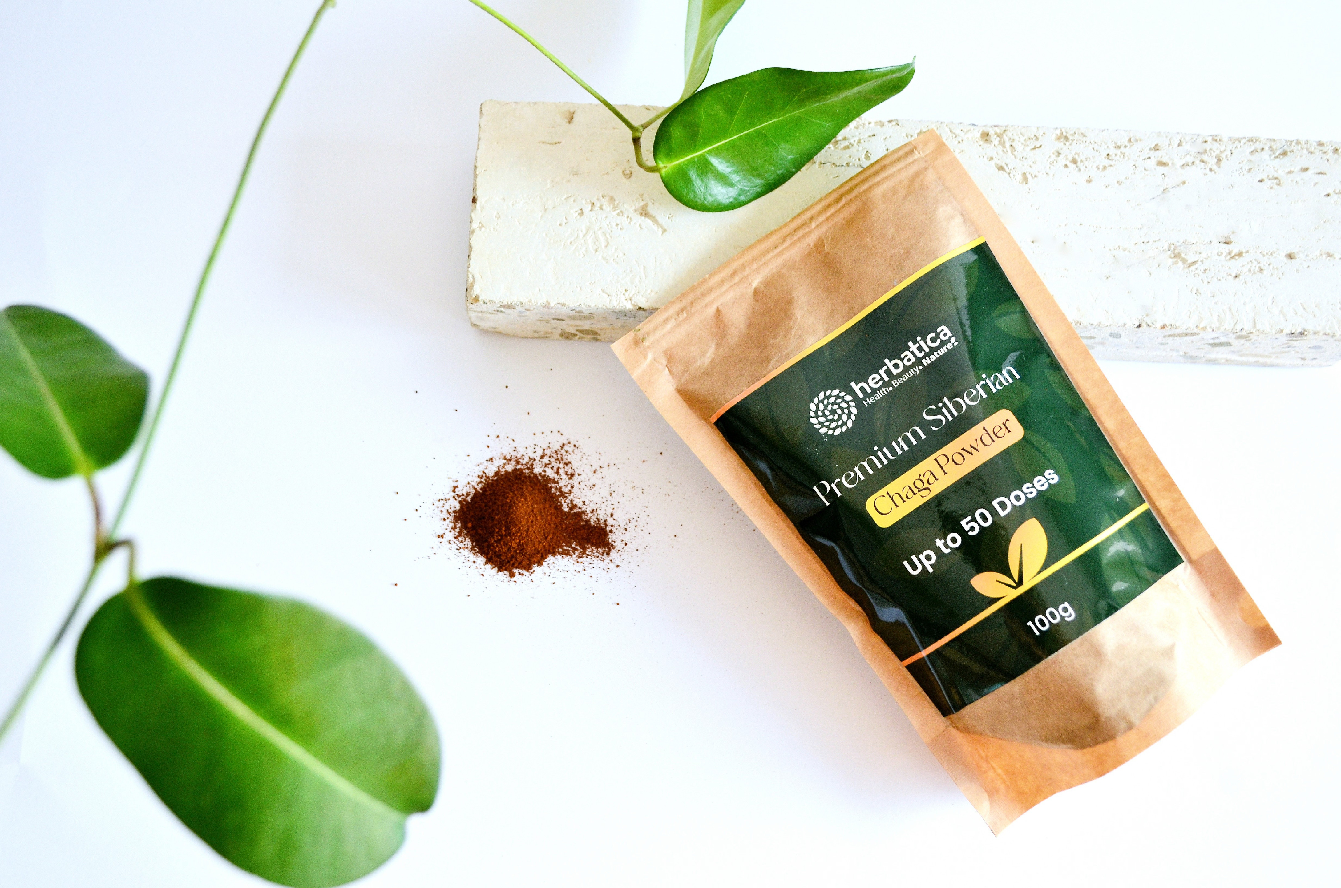 Prémiová čaga sibírska 100% prášok - 100g - Herbatica