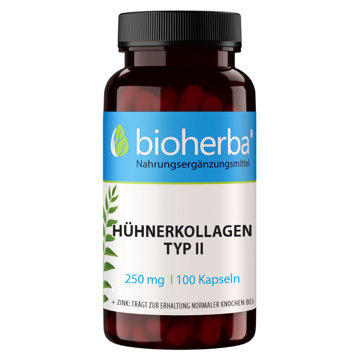 20919-kuracie-kolagen-typu-ii-250-mg-100-kapsul