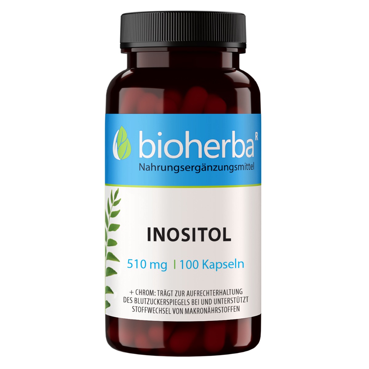 20928-inozitol-510-mg-100-kapsul